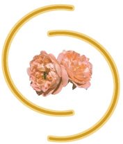 naturheilpraxis-logo.png undefined